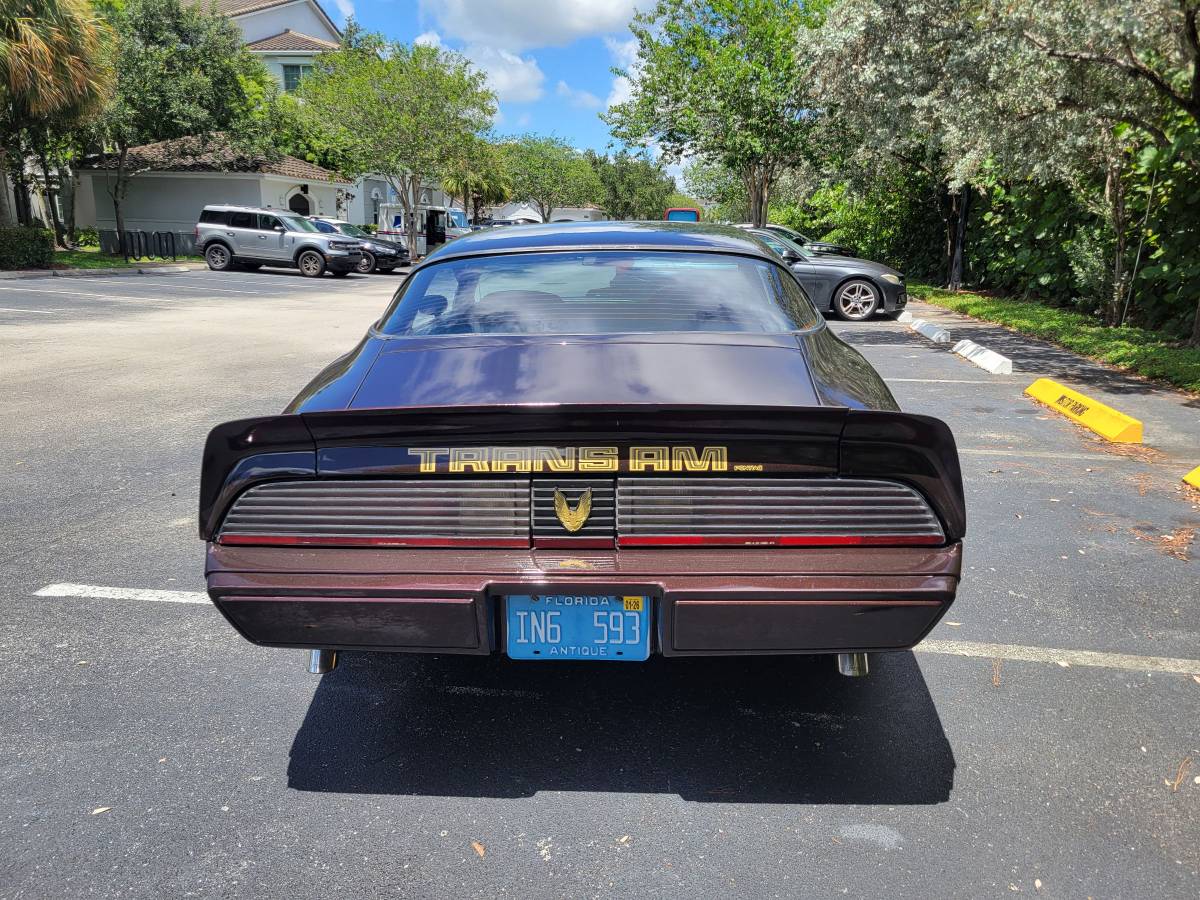 Pontiac-firebird-trans-am-1980-brown-9