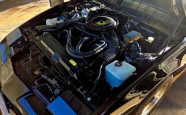Pontiac-firebird-trans-am-1985-black-14