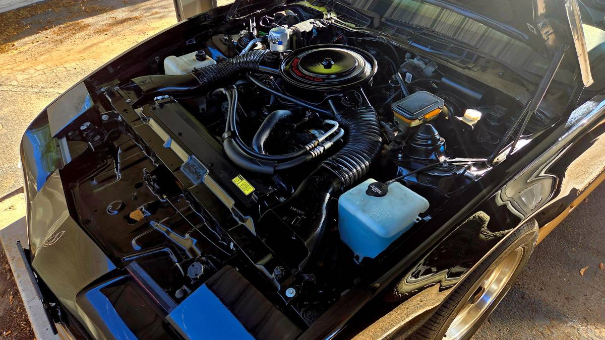 Pontiac-firebird-trans-am-1985-black-14