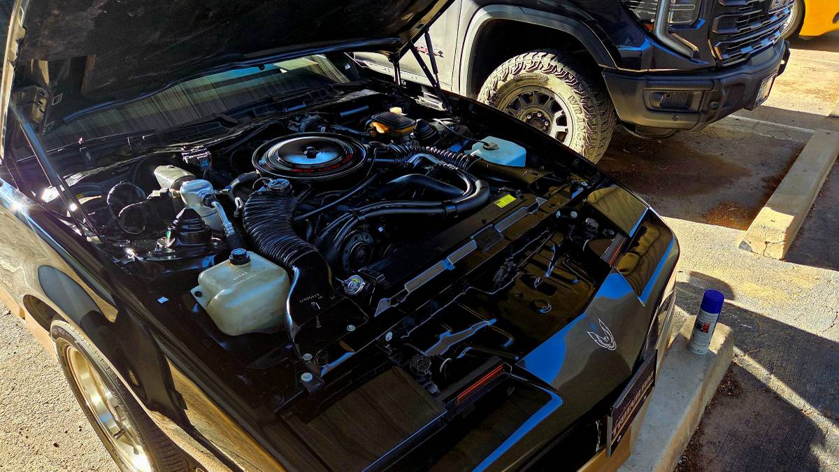 Pontiac-firebird-trans-am-1985-black-15