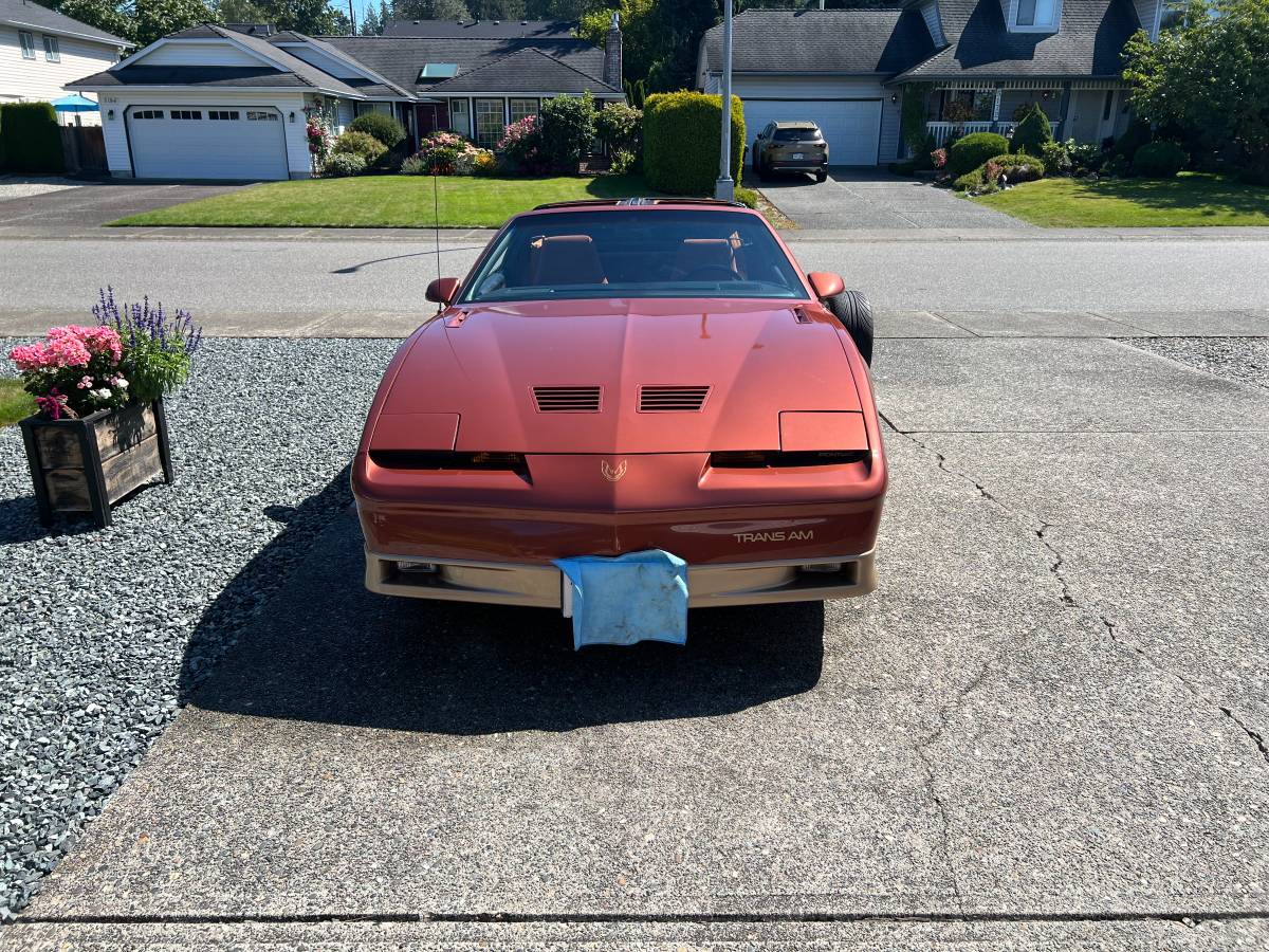 Pontiac-firebird-trans-am-1985-orange-12