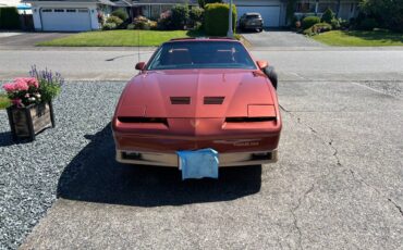 Pontiac-firebird-trans-am-1985-orange-3