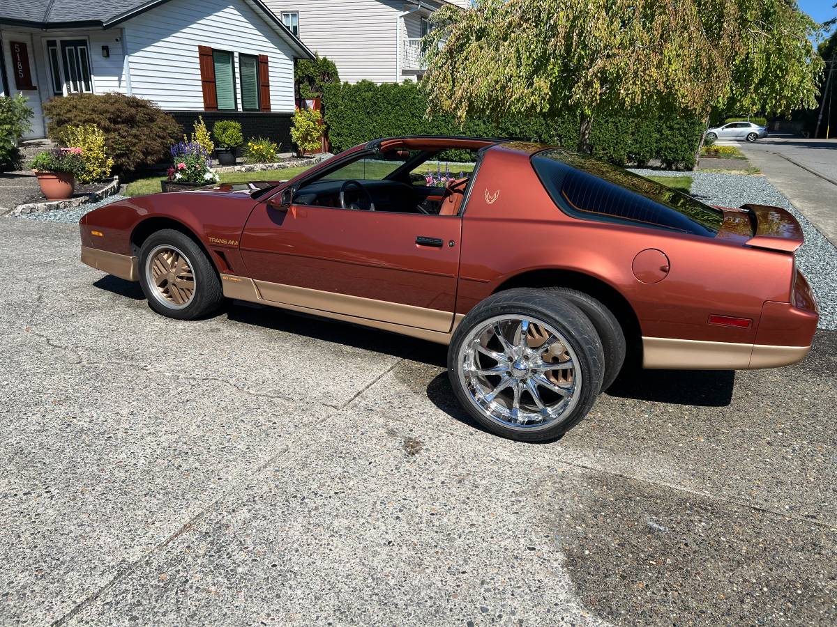 Pontiac-firebird-trans-am-1985-orange-7