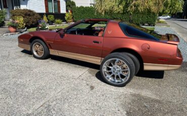 Pontiac-firebird-trans-am-1985-orange-8