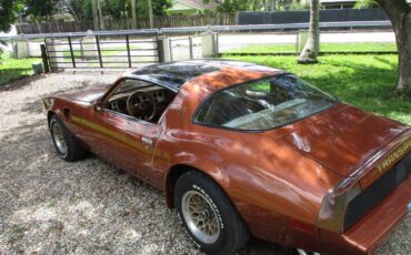Pontiac-firebird-trans-am-ws6-1980-1