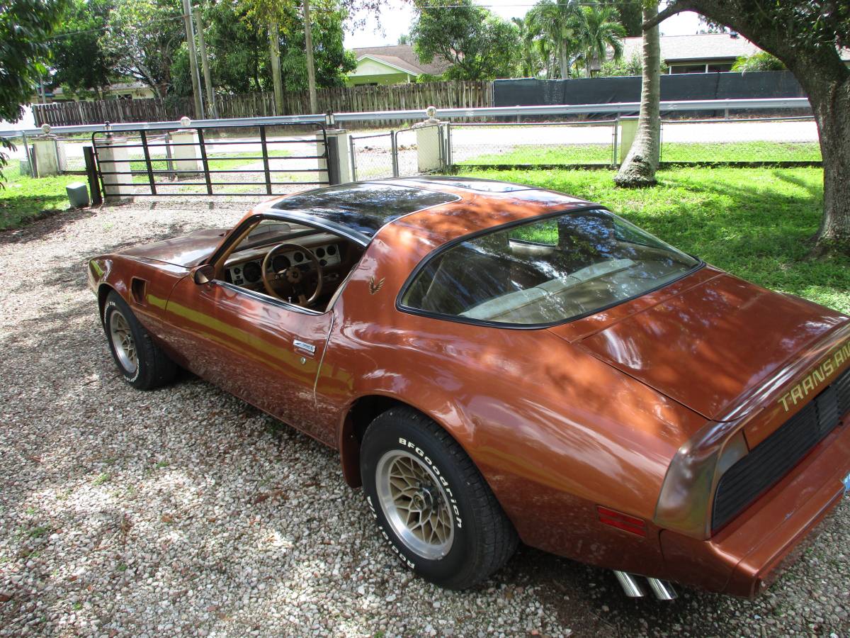 Pontiac-firebird-trans-am-ws6-1980-1