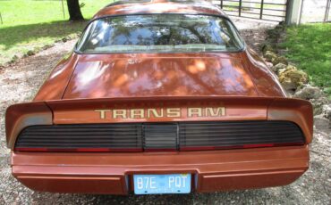 Pontiac-firebird-trans-am-ws6-1980-2