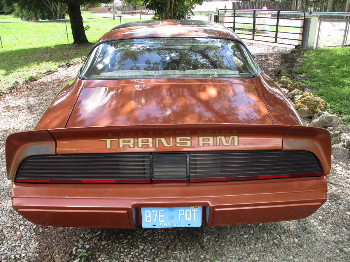 Pontiac-firebird-trans-am-ws6-1980-2