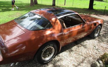 Pontiac-firebird-trans-am-ws6-1980-3