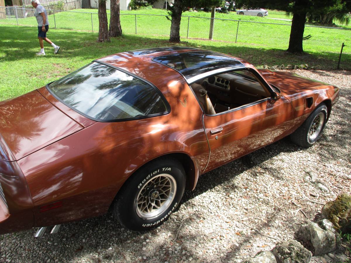 Pontiac-firebird-trans-am-ws6-1980-3