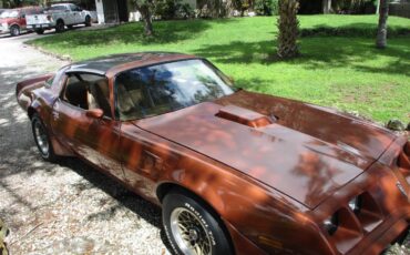 Pontiac-firebird-trans-am-ws6-1980-4