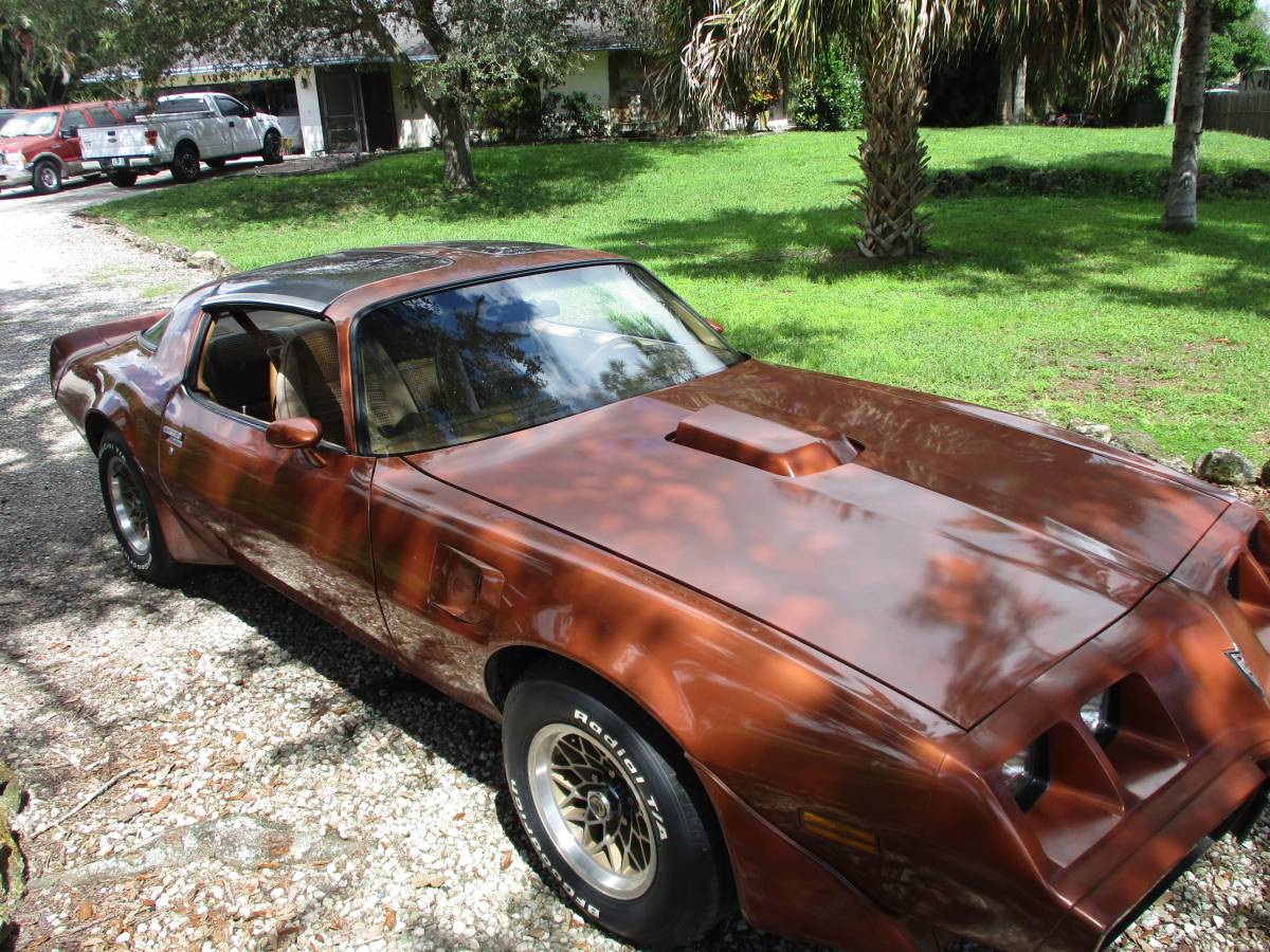 Pontiac-firebird-trans-am-ws6-1980-4
