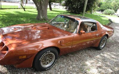 Pontiac firebird trans am ws6 1980