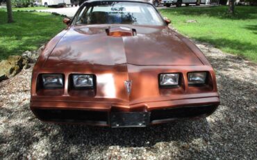 Pontiac-firebird-trans-am-ws6-1980-5