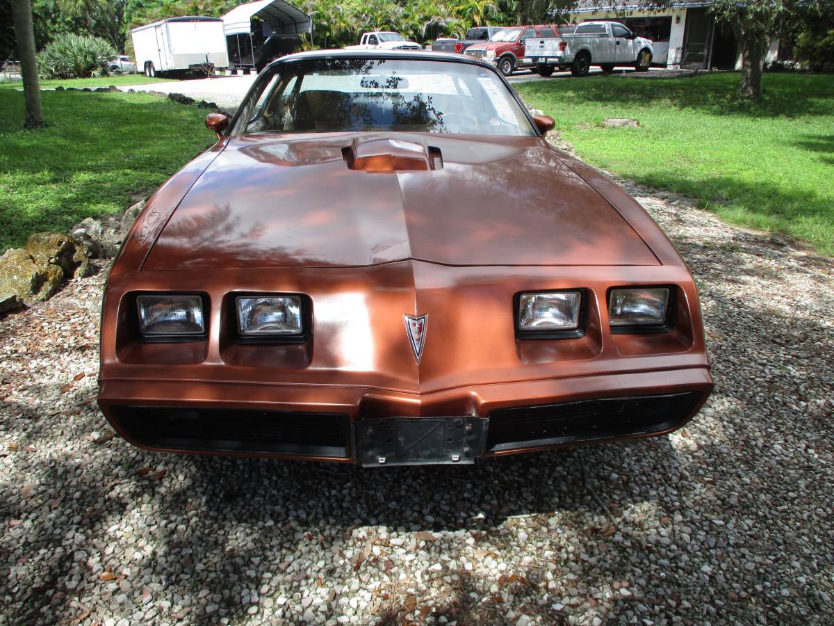 Pontiac-firebird-trans-am-ws6-1980-5