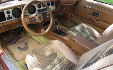Pontiac-firebird-trans-am-ws6-1980-6