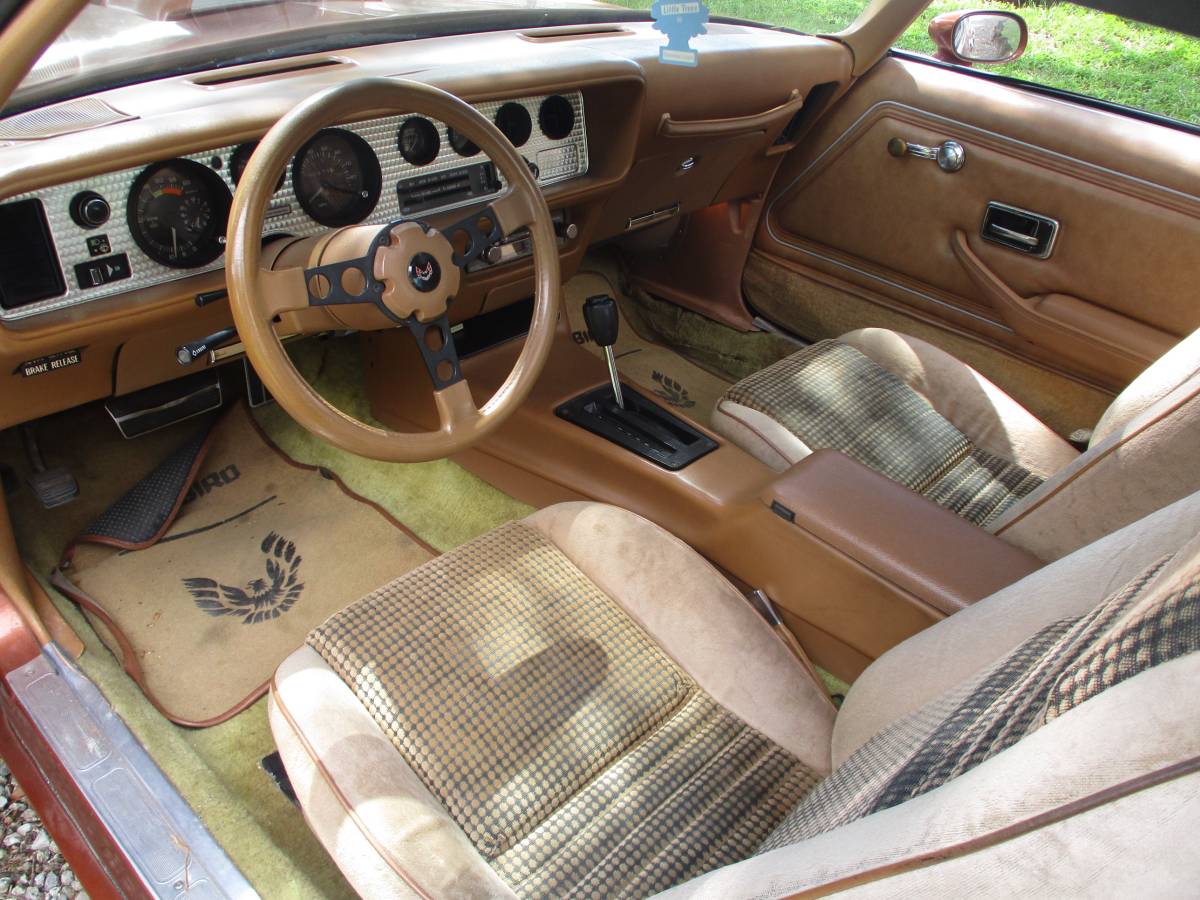 Pontiac-firebird-trans-am-ws6-1980-6