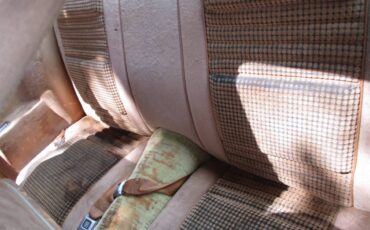 Pontiac-firebird-trans-am-ws6-1980-7