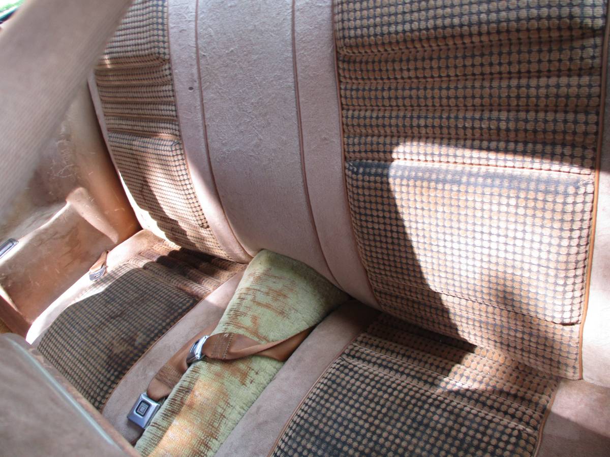 Pontiac-firebird-trans-am-ws6-1980-7