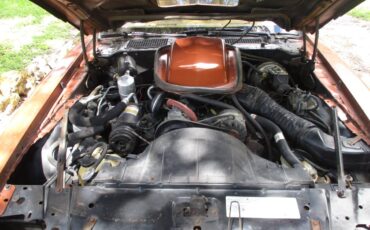 Pontiac-firebird-trans-am-ws6-1980-8