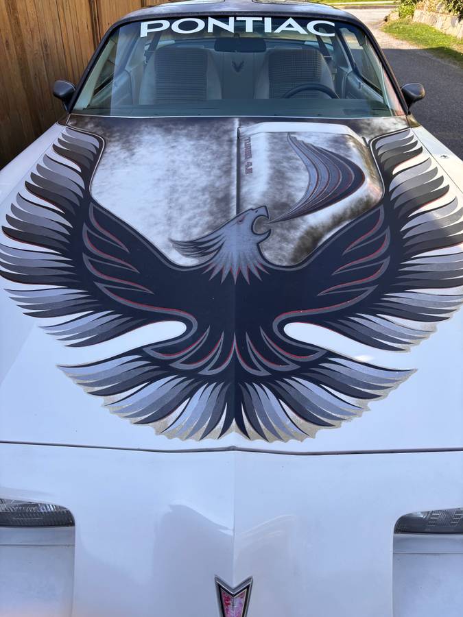 Pontiac-firebird-turbo-trans-am-indy-pace-car-1980-white-10