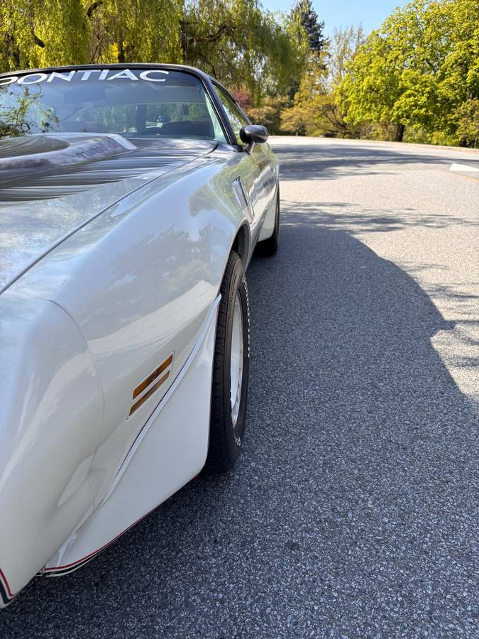 Pontiac-firebird-turbo-trans-am-indy-pace-car-1980-white-2