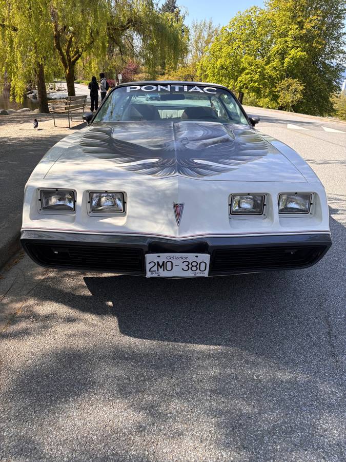 Pontiac-firebird-turbo-trans-am-indy-pace-car-1980-white-20