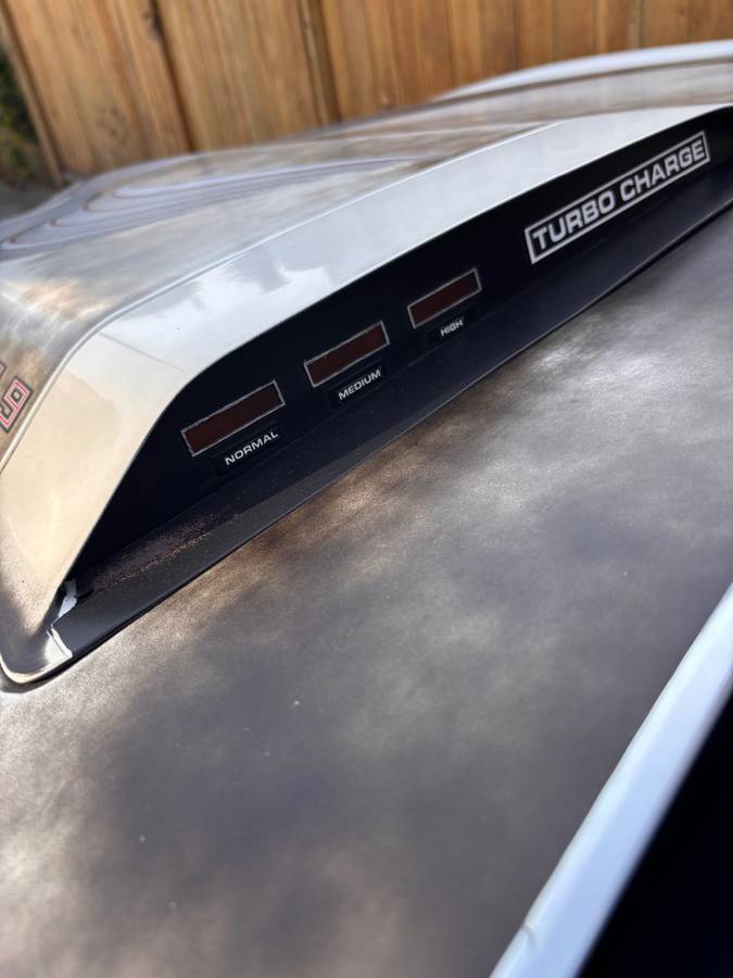 Pontiac-firebird-turbo-trans-am-indy-pace-car-1980-white-23