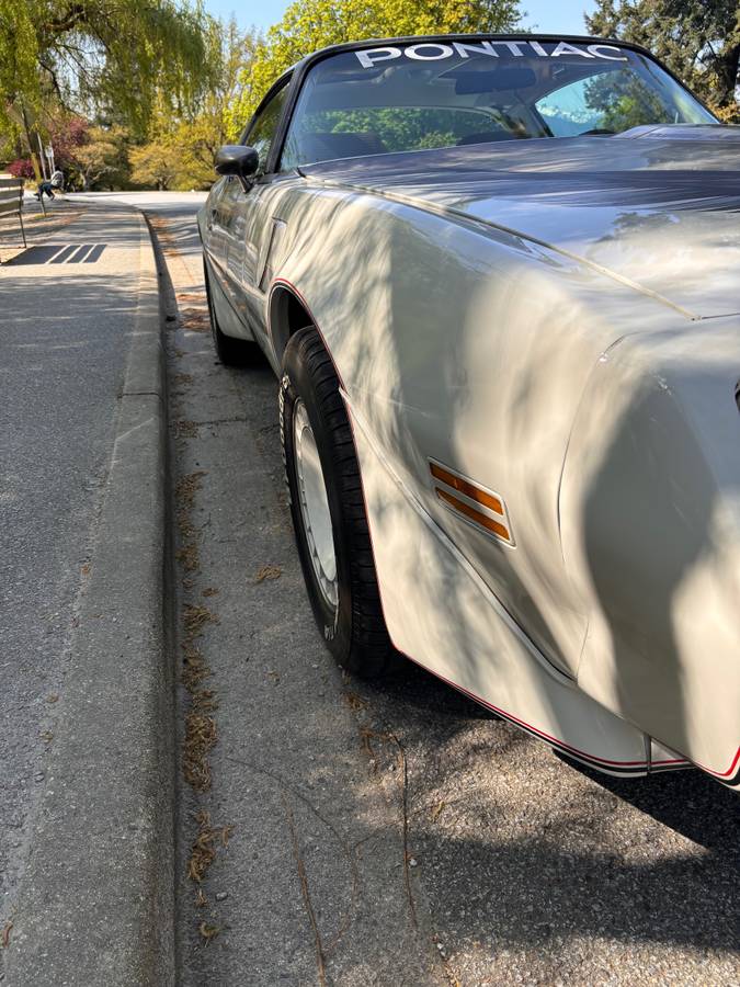 Pontiac-firebird-turbo-trans-am-indy-pace-car-1980-white-3