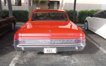 Pontiac-gto-1965-red