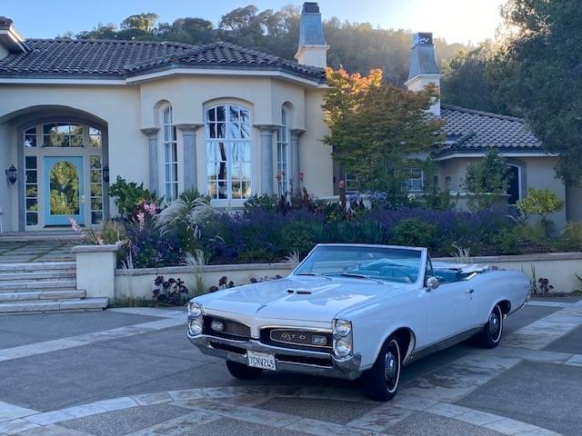 Pontiac-gto-1967-white