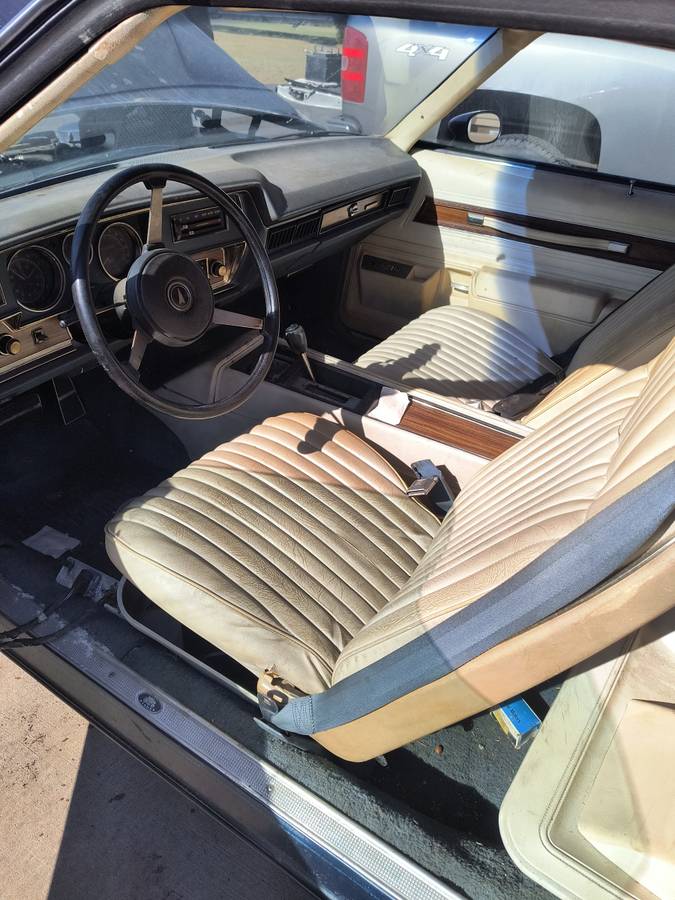 Pontiac-lemans-1974-blue-2