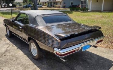 Pontiac-lemans-sport-convertible-1972-brown-1