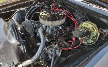 Pontiac-lemans-sport-convertible-1972-brown-4