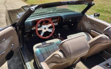 Pontiac-lemans-sport-convertible-1972-brown-5