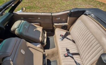 Pontiac-lemans-sport-convertible-1972-brown-8