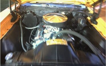 Pontiac-lemansgto-tribute-1970-13