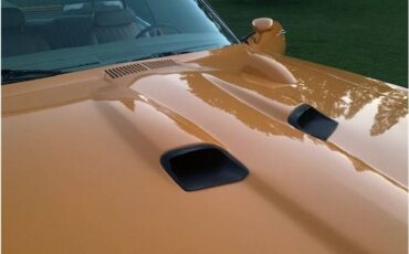 Pontiac-lemansgto-tribute-1970-17