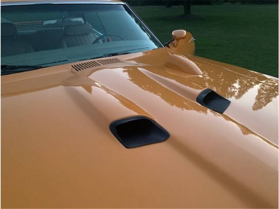 Pontiac-lemansgto-tribute-1970-17