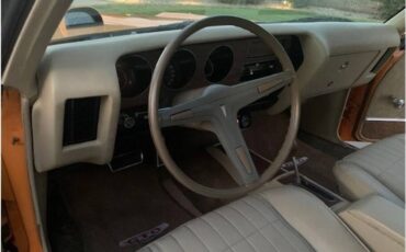 Pontiac-lemansgto-tribute-1970-8
