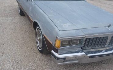 Pontiac-parisienne-1984-grey-17
