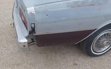 Pontiac-parisienne-1984-grey-22