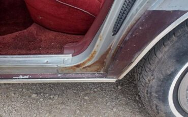 Pontiac-parisienne-1984-grey-26