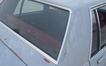 Pontiac-parisienne-1984-grey-5