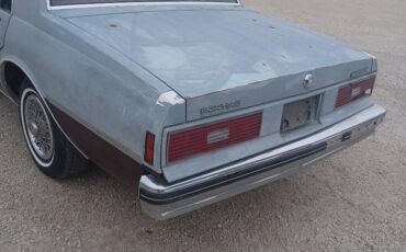 Pontiac-parisienne-1984-grey-9