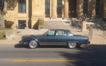 Pontiac-parisienne-1986-blue
