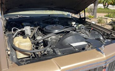 Pontiac-parisienne-safari-wagon-1986-15