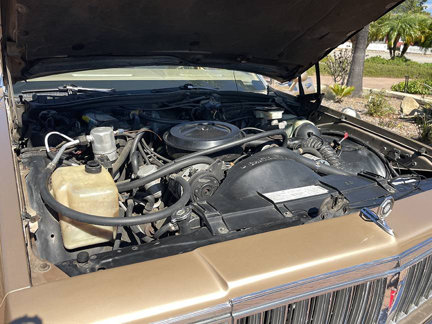 Pontiac-parisienne-safari-wagon-1986-15