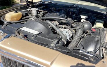 Pontiac-parisienne-safari-wagon-1986-16