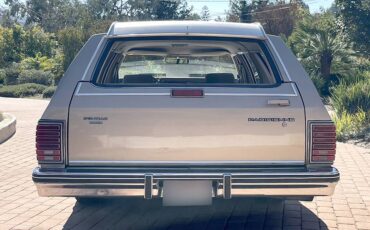 Pontiac-parisienne-safari-wagon-1986-2